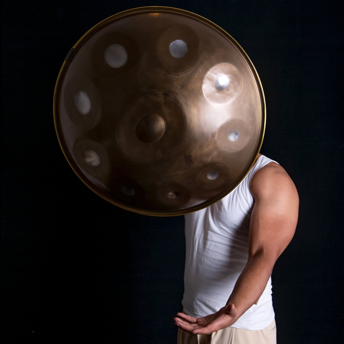 Rogina Hand Pan, 10 Notes, Stainless Steel, 440HZ, D-Kurd, Mystic Golden Mocha